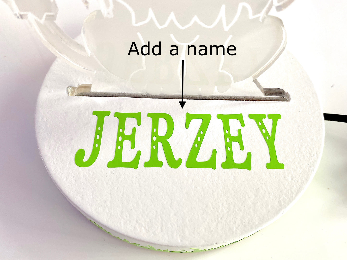 Personalised Dinosaur LED Night Light