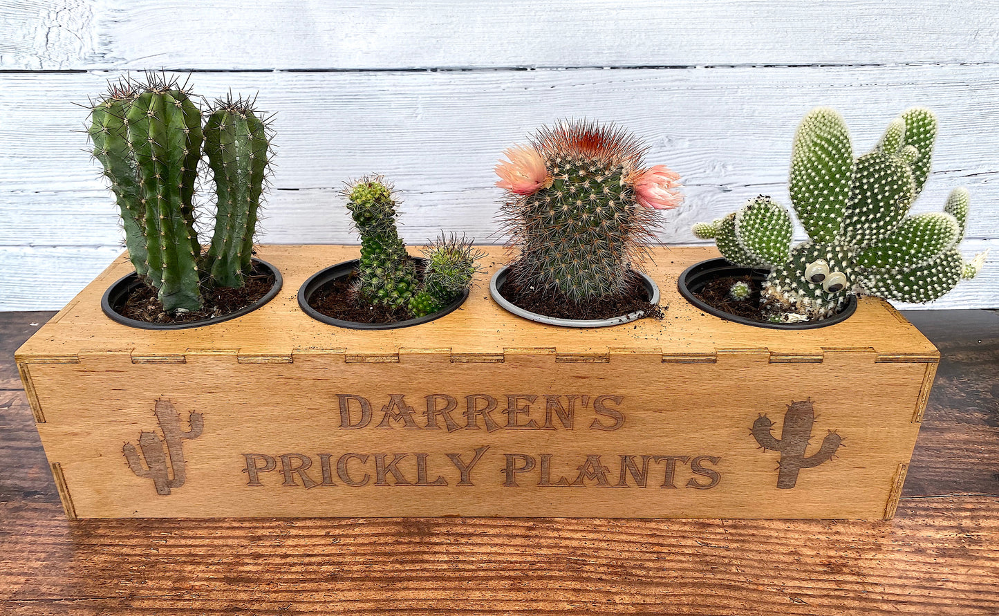 Personalised Cactus Garden Planter Box